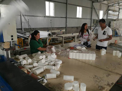 办一个卫生纸加工厂 盈利前景分析与设备指南